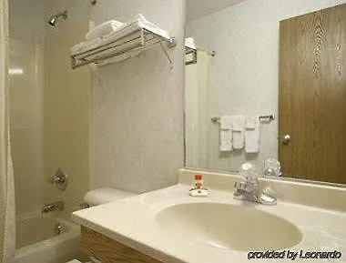 Lodge Econo *